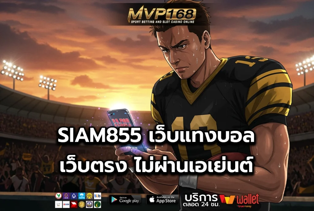 SIAM855 1
