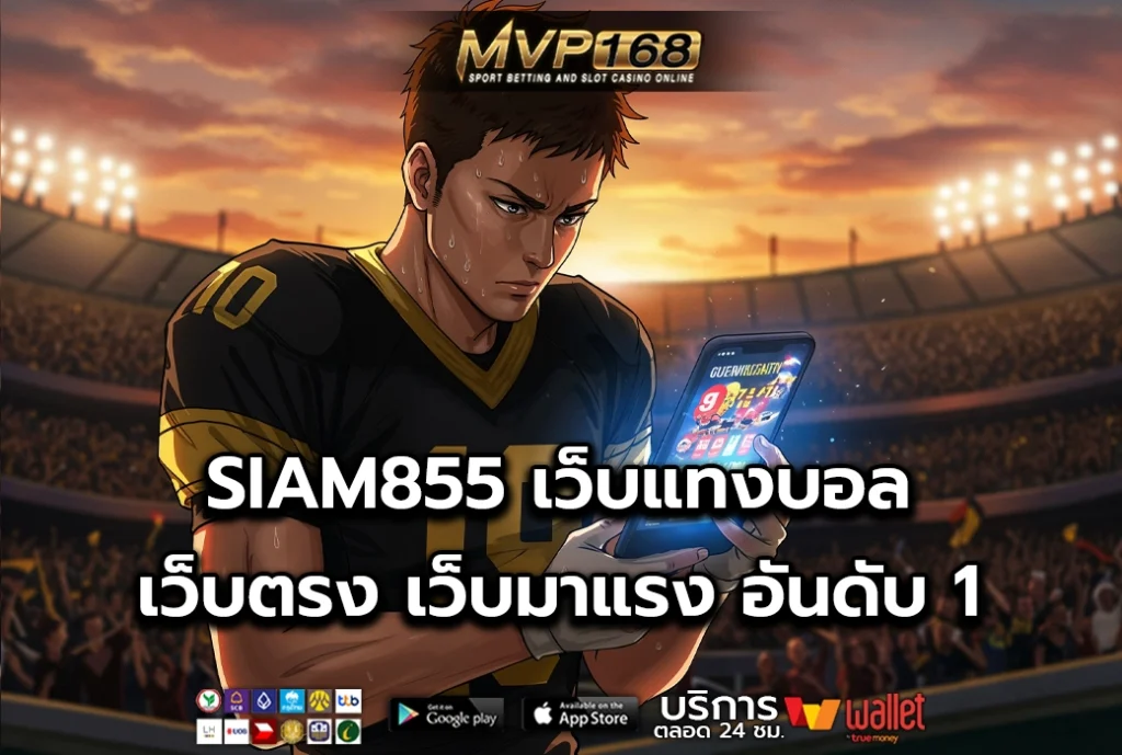 SIAM855 2