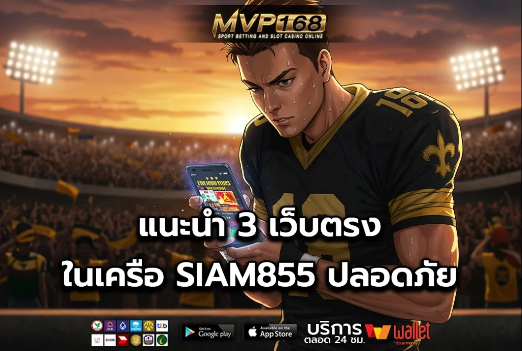 SIAM855 3